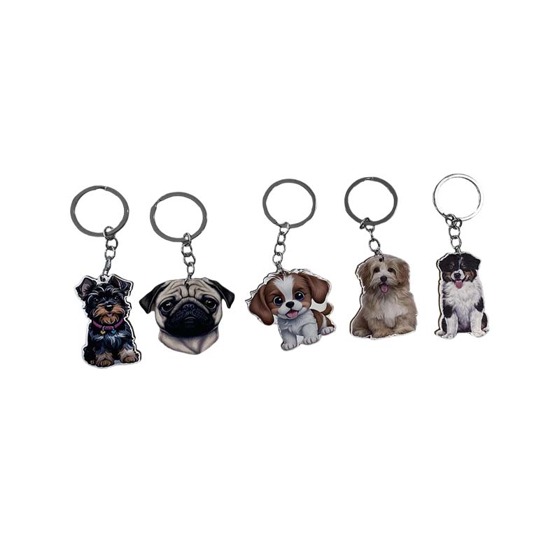 Regalo acrílico con impresión DIY ovalada de dibujos animados de gatos