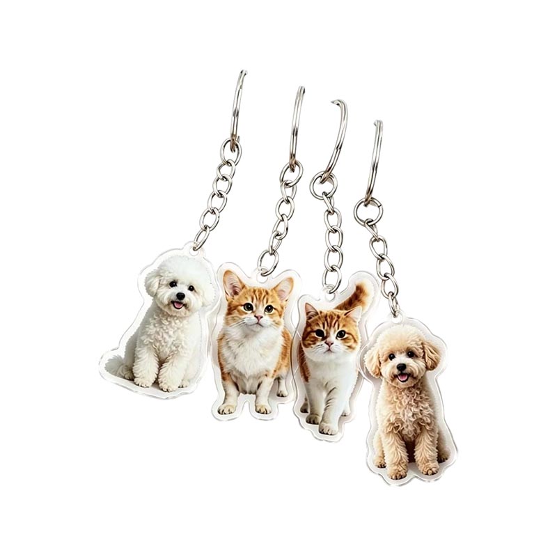 Llavero acrílico personalizado para fotografía de mascotas, llavero transparente personalizado