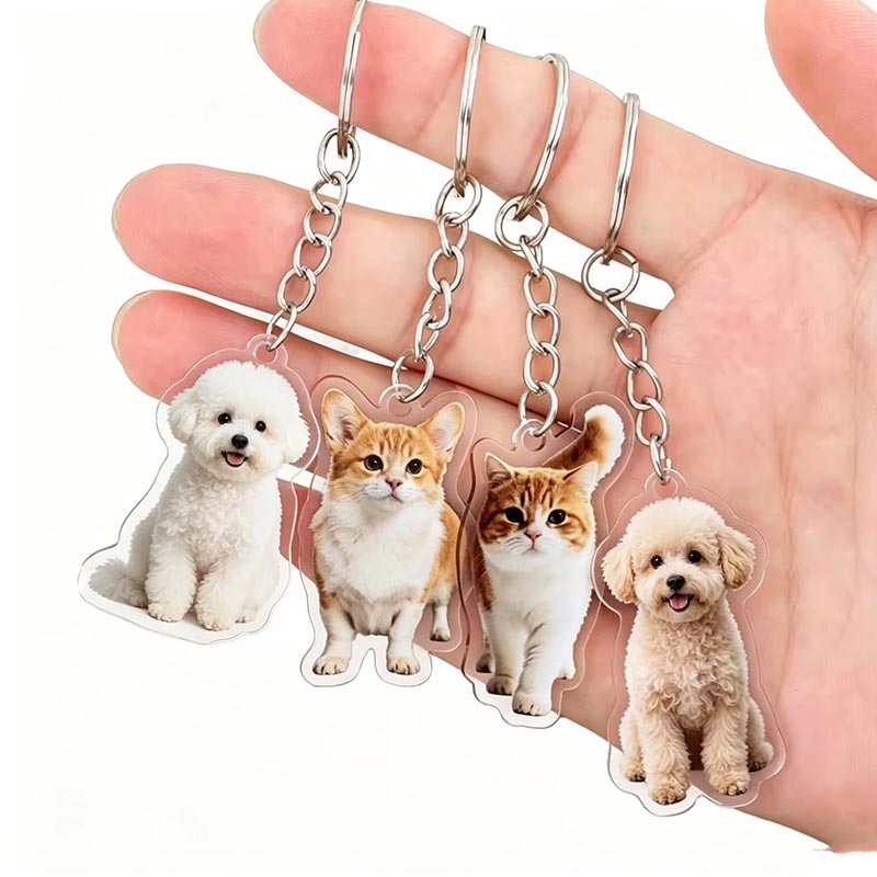 Llavero acrílico personalizado para fotografía de mascotas, llavero transparente personalizado