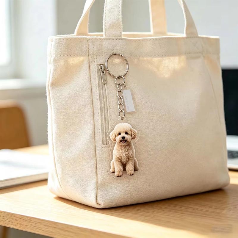 Llavero acrílico personalizado para fotografía de mascotas, llavero transparente personalizado